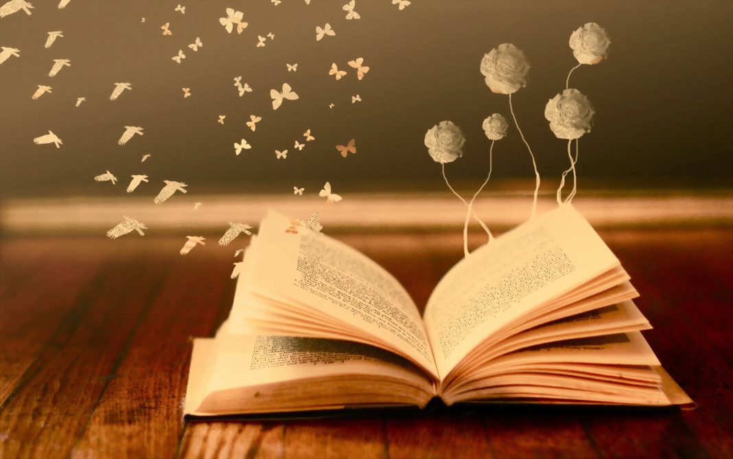 Bir Kitap, Bir Görüş