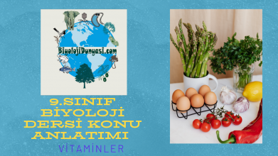 Vitaminler Konu Anlatımı