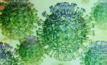 2020'nin Korkulu Rüyası: Coronavirus