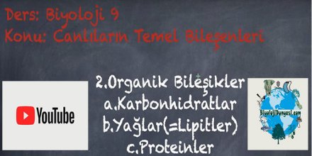 Organik Bileşikler (Karbonhidratlar, Yağlar, Proteinler)