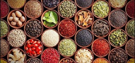 Şifalı Bitkilerden Bazıları