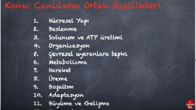 İlk Ders Videomuz Yayında