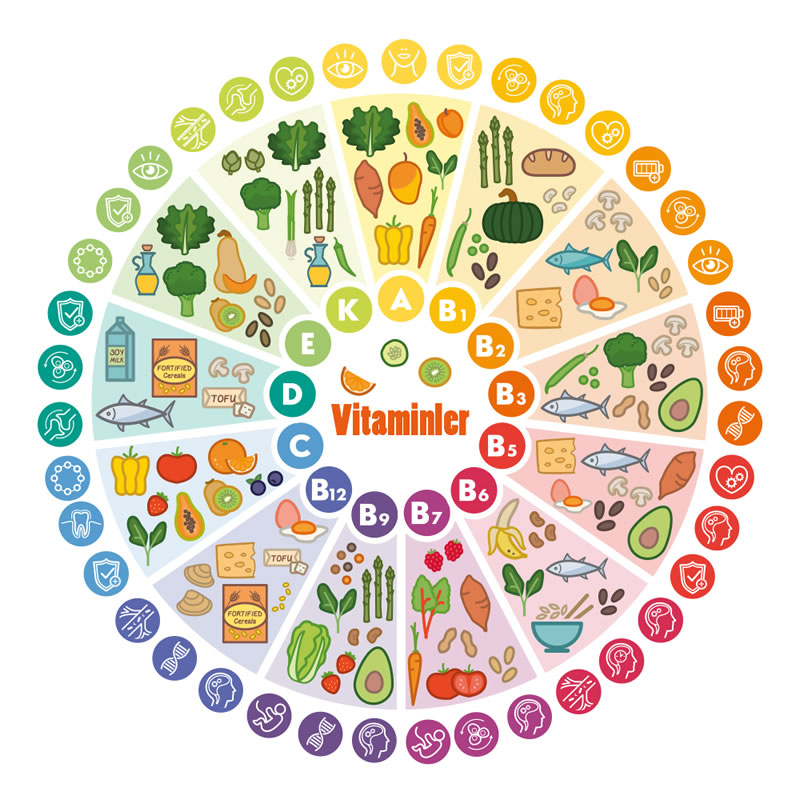 Vitaminler